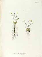  no thumbnail available