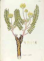  no thumbnail available