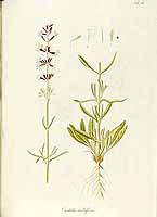  no thumbnail available