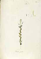  no thumbnail available