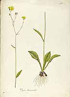  no thumbnail available