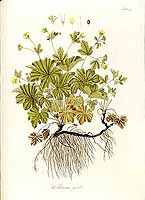  no thumbnail available