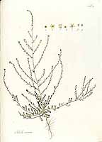  no thumbnail available