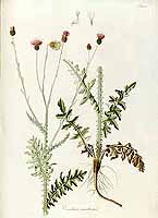  no thumbnail available