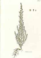  no thumbnail available