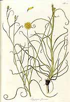  no thumbnail available