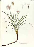  no thumbnail available