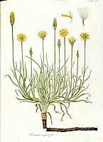  no thumbnail available