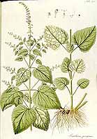  no thumbnail available