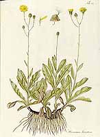  no thumbnail available