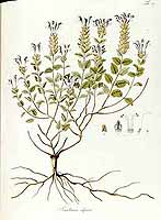  no thumbnail available