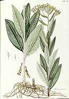  no thumbnail available