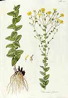  no thumbnail available