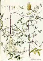  no thumbnail available