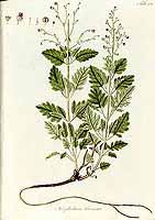  no thumbnail available