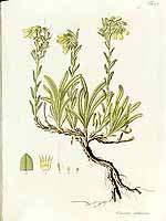  no thumbnail available