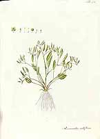  no thumbnail available