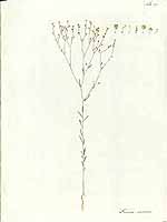  no thumbnail available