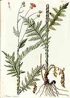  no thumbnail available