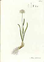  no thumbnail available