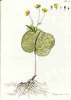  no thumbnail available