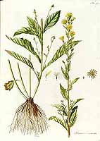  no thumbnail available