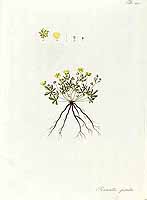  no thumbnail available