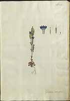  no thumbnail available