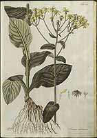  no thumbnail available