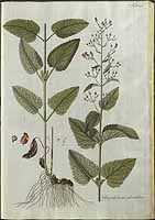  no thumbnail available