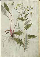  no thumbnail available