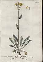  no thumbnail available