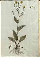  no thumbnail available