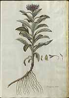  no thumbnail available