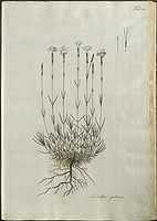  no thumbnail available