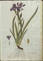  no thumbnail available