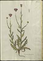  no thumbnail available