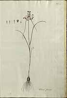  no thumbnail available