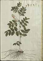  no thumbnail available