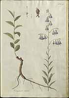  no thumbnail available