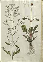  no thumbnail available