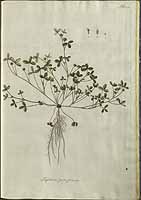  no thumbnail available