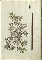  no thumbnail available