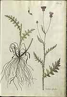  no thumbnail available