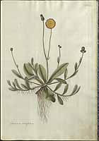  no thumbnail available