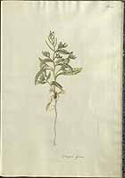  no thumbnail available