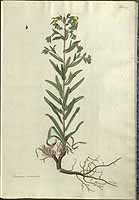  no thumbnail available