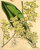  no thumbnail available