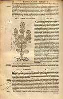  no thumbnail available