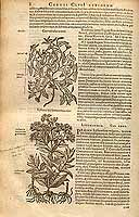  no thumbnail available